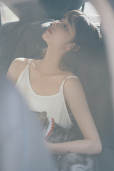 鉴黄师ABB安装